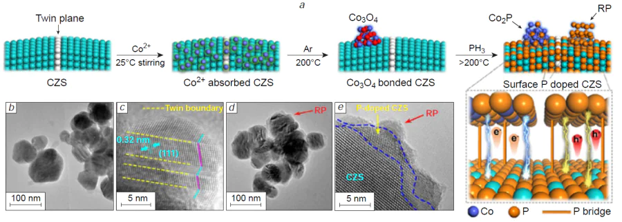 Construction of the CZS – P – Co2P photocatalyst through near-surface phosphidation. Schematic illustration of the phosphidation process, showing the evolution of the sample composition and the formation of phosphorus-bridge electron-transport channels in the CZS – P – Co2P heterostructure (a). TEM (b) and HRTEM (c) images of the pristine CZS photocatalyst. TEM (d) and HRTEM (e) images of the CZS – P – Co2P. Reproduced from Liu et al.65 with permission from Elsevier.