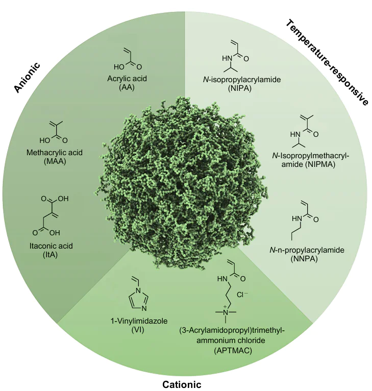 Wheel of functional monomers forming the basis of water-soluble stimuli-responsive microgels.