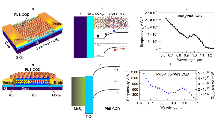 Field-effect phototransistors Si/SiO2/MoS2 (/Ti/Au)/PbS CQDs (a, b, c) and Si/SiO2/MoS2 (/Ti/Au)/TiO2/PbS CQDs (d, e, f): (a, d) photo-FET architectures; (b, e) energy diagrams of photo-FET structures; (c, f) spectral dependences of the responsivity and specific detectivity of photo-FET[231, 232].