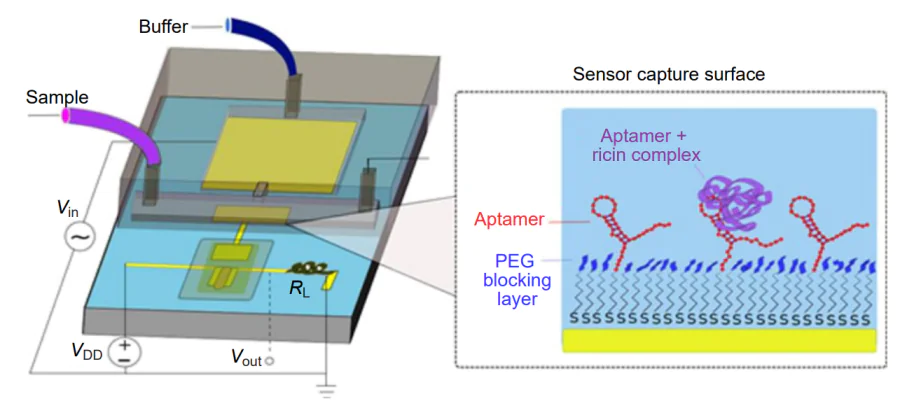 Picture of an experimental flow cell for the detection of ricin; the inset shows functionalization of the aptasensor active layer[153].