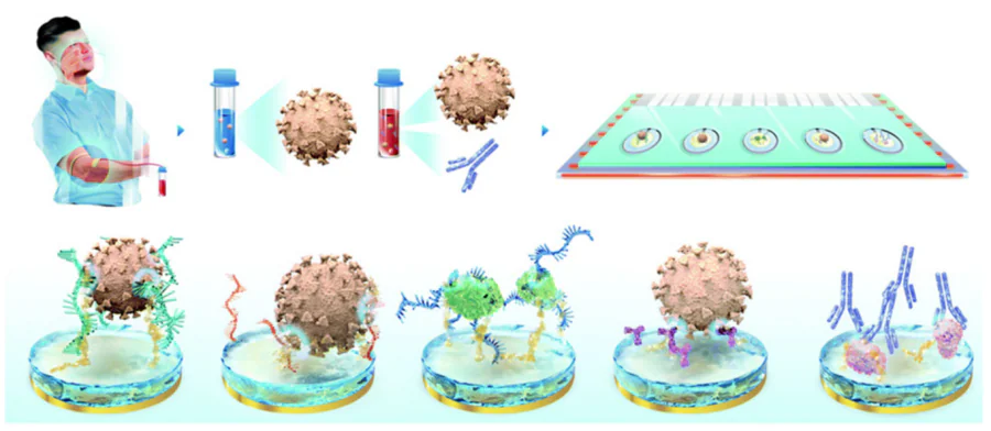 Schematic picture of electrochemical biochips for multiplex detection of S and N proteins of SARS-CoV-2 and IgG antibody[23].