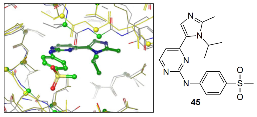 Spatial structure of the pockets of CDK20 (highlighted in yellow) and CDK2 (highlighted in grey) using molecule 45 as an example. Carbon atoms are marked in green, sulfur is in light yellow, oxygen is in red, and nitrogen is in blue. The figure was created by the authors based on published data[134].