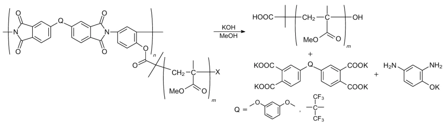 Schematic view of the alkaline hydrolysis of the backbone of PI-graft-PMMA molecular brushes.