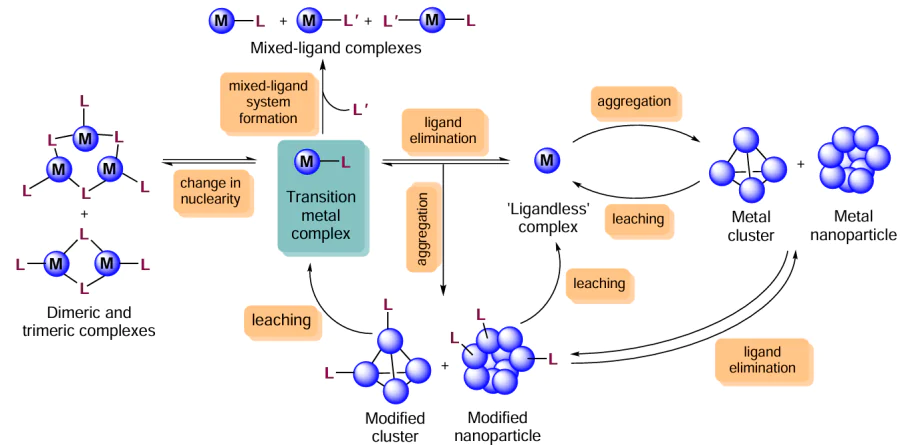 Dynamic transformations of metal-containing systems in catalytic reactions