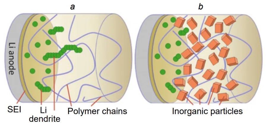 Scheme of dendrite penetration in a polymer (a) and composite (b) electrolytes.