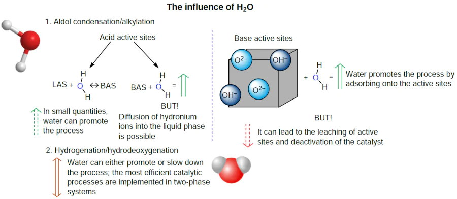 Effect of water on the C – C bond formation and hydrogenation/HDO reactions