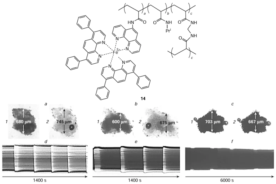 Chemical structure of gel 14 (a). Diagram of oscillations of pieces of gel 14 in a CFBZ solution containing MA (0.063 M), NaBrO3 (0.084 М), and H2SO4 (0.25 М): (b) – (d) snapshots and (e) – (g) space–time diagrams of oscillations of pieces of gel 14 containing 0.7 (a, d) – (b, e) and 1.2 (c, f ) mol.% Fe(bathophen)2(acphen). The space–time diagrams were drawn along the lines indicated by white arrows in the images. The average period of oscillations was (d) ~ 290, (e) ~ 330, and ( f ) ~ 1500 s. The vertical light (dark) bars in the space–time diagrams correspond to the oxidized (reduced) state of the catalyst.91