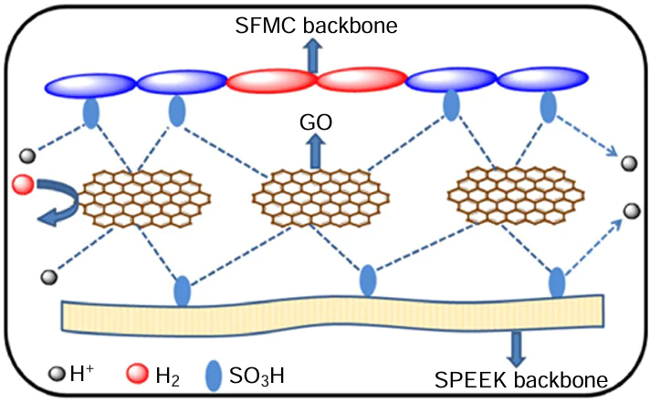 Schematic diagram of the SFMC/SPEEK/GO membrane.35