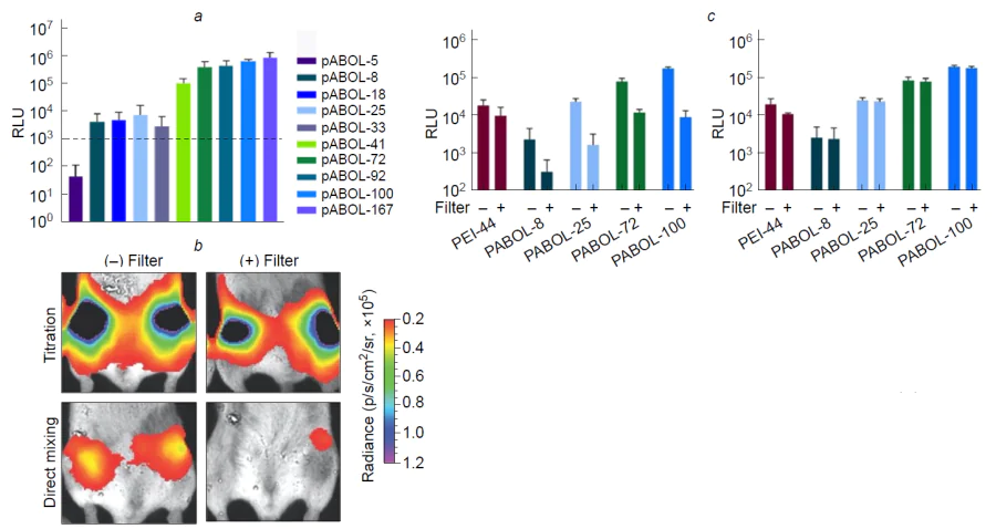 Quantitative estimation of fLuc expression after transfection of HEK293T.17 cells in relative luminescence units (RLU) for the following carriers: polyplexes formed by pABOL with various molecular weights and the polymer : mRNA weight ratio of 45 : 1 (a); various filtered (+) and nonfiltered (−) polyplexes formed by direct mixing (on the left) or titration (on the right) (b); filtered or nonfiltered pABOL polyplexes formed by direct mixing and titration 7 days after the injection (c). Mice were injected with 5 μg of saRNA into each paw; the polymer to RNA ratio was 45 : 1 (w/w).163 Copyright American Chemical Society 2020.