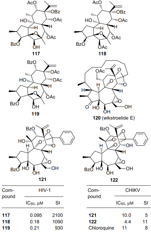 Structures and antiviral activity of daphnane-type diterpenoids 117-122 isolated from the plants of the genus Wikstroemia and from Codiaeum peltatum.78, 80