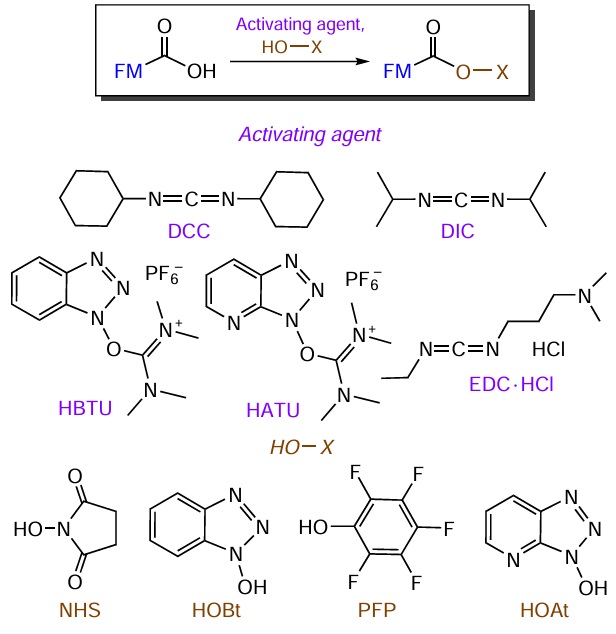 General scheme of the synthesis of FMs containing activated carboxyl groups