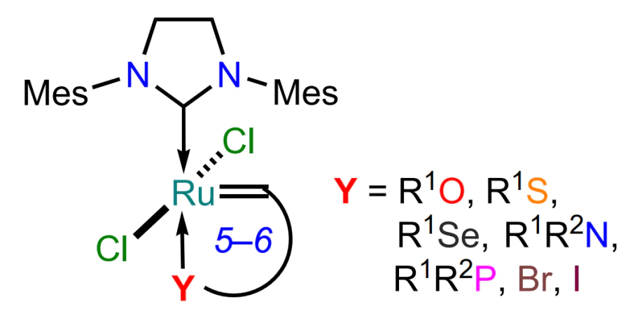 Structures of ruthenium metallacycles considered in this review.