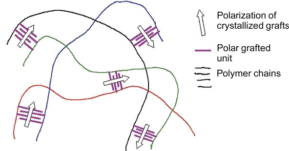 Structure of crystallites in a electrostrictive graft copolymer.4 Reproduced with the permission of Elsevier