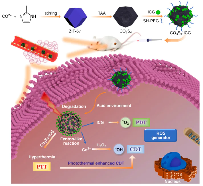 In vivo assessment of Co3S4-ICG photothermal imaging and its impact on tumour suppression. Reproduced from Jiang et al.;269 copyright (2021) Elsevier.
