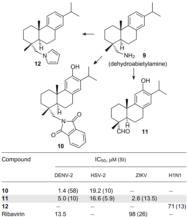 Structures of dehydroabietylamine (9) and its derivatives 10-12, and their antiviral activity.12-16