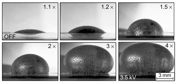 Photographs illustrating giant strains of a free-standing membrane made of the thermoplastic bottle-brush triblock copolymer observed in circular DEA at an actuation voltage of up to 3.5 kV.202 Reproduced with the permission of John Wiley and Sons