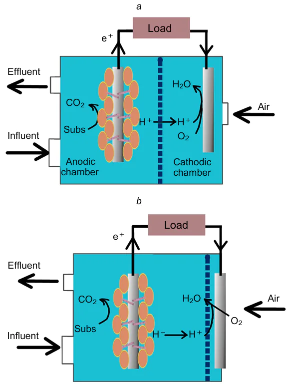 Schematic diagram of microbial fuel cells. Dual-chamber MFC (a); air-cathode single-chamber MFC (b). Blue bold dotted line indicate proton exchange membrane (PEM). Anode was covered by DMRB biofilm in both cases. PEM may not be used in air-cathode MFC