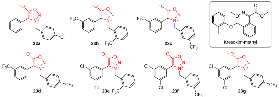 Structures of sydnones 23 with the highest antifungal activity and the kresoxim-methyl fungicide (drawn in the box).25