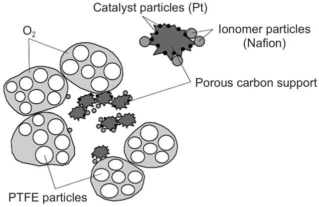 Structure of the catalyst layer in PEMFC.10