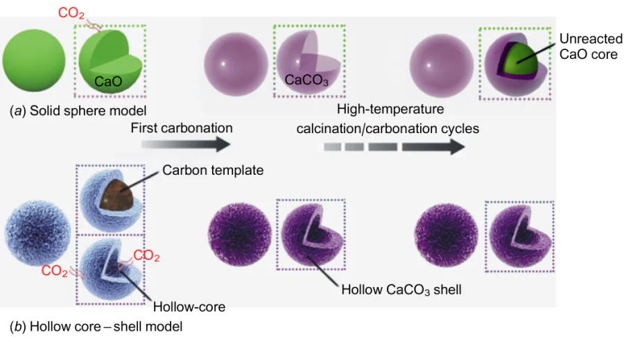 Hollow core-shell model and solid sphere model. Reproduced from Ref. 227 with permission from Elsevier.