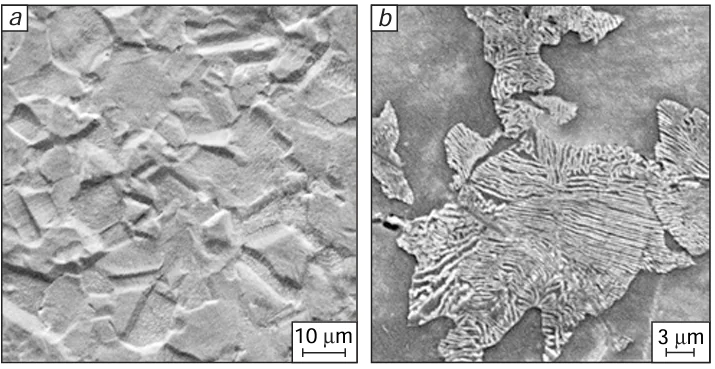 Structure of nitrogen-alloyed austenite in the 0Kh21AG – 15N8MF steel (0.57% N – 21% Cr – 15% Mn – 8% Ni – 0.8% Mo – 0.2% V): (a) after quenching from 1100°C, (b) discontinuous decomposition after tempering at 950°C for 6 h.