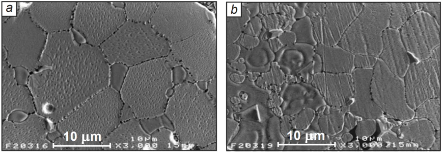 Scanning electron microscopy (SEM) images of LSGM La0.8Sr0.2Ga0.83Mg0.17O2.815 samples obtained by: (a) conventionally sintered at 1793 K in air for 12 h; (b) microwave sintered for 10 min. (Reprinted with permission from [40]. Copyright 2003 Springer Link.)