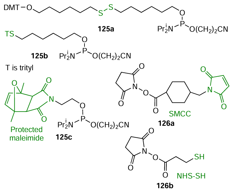 Structures of commercially available phosphoramidites containing protected thiol groups (125a,b) or maleimide residues (125c) and bifunctional reagents 126, which are intended for the indirect introduction of maleimide or thiol function into amino-modified oligonucleotides