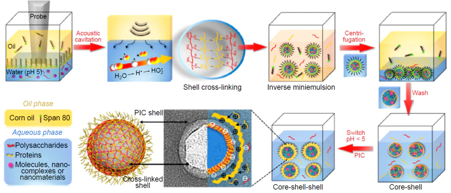 Flow diagram of the synthesis of BSA and CS capsules.51 Published with permission from the American Chemical Society.