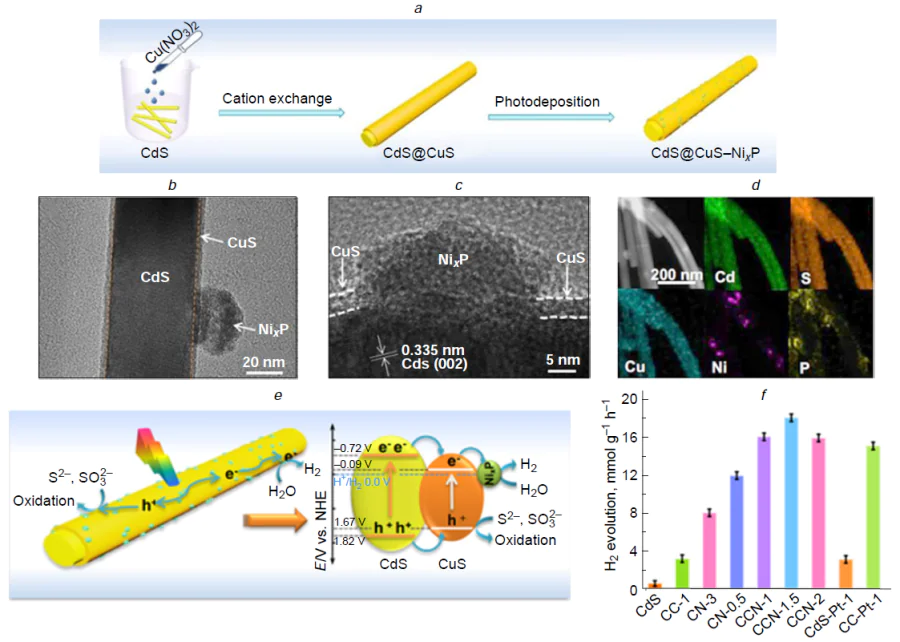 Construction of CdS@CuS – NixP core-shell nanowires and photocatalytic hydrogen evolution over it. Schematic illustration of the synthesis of the CdS@CuS – NixP core-shell NWs (a). TEM image (b), HRTEM image (c) and elemental mapping results (d) of CdS@CuS – NixP NWs. Illustration of the proposed reaction mechanism for the photocatalytic H2 production over CdS@CuS – NixP under visible light illumination (e). Photocatalytic H2 evolution over bare CdS and CdS@CuS – NixP photocatalysts (f). CC-x denotes CdS@CuS nanowires containing x mol.% CuS, whereas CCN-x denotes CdS@CuS – NixP nanowires with different NixP loadings. Reproduced from Li et al.86 with permission from Elsevier.