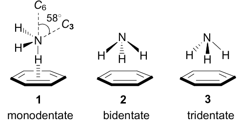 Mono-, bi- and tridentate benzene-ammonia complexes. The figure was created by the authors using data of Refs 25,26.