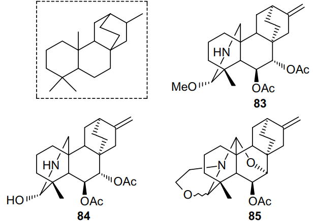 Atisane-type skeleton (in the frame) and structures of diterpenoids 83-85 isolated from Spiraea japonica