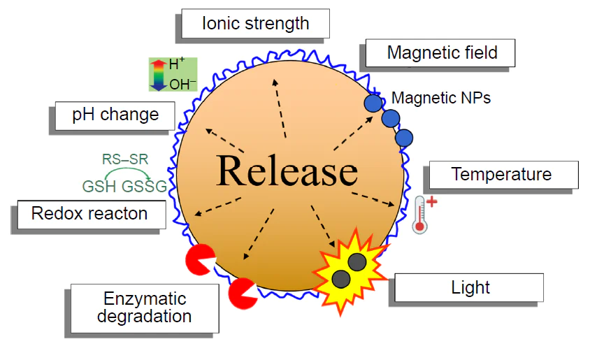Main types of internal and external stimuli for the controlled release of drugs from the capsules.