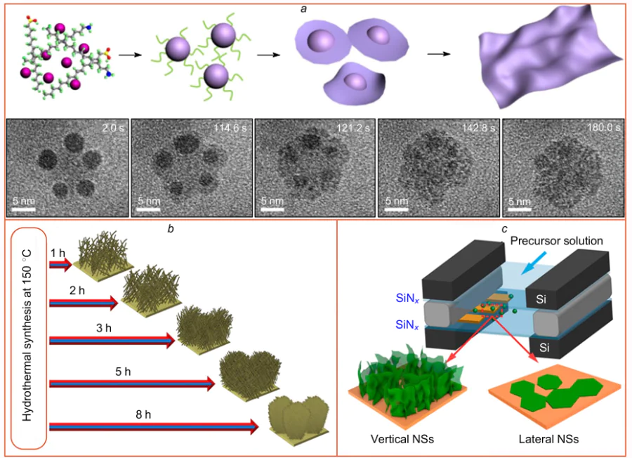 Mechanisms of formation of metal oxide and hydroxide NSs during the synthesis in solutions of reactant mixture. (a) 3D→2D growth (precursor solution formation of nanoparticles transformation) and micrographs of particles at different instants of the synthesis;52 (b) 1D→2D growth;53 (c) formation of oriented NSs on the electrode surface in an electrochemical cell; gray color designates spacers that confine the liquid-phase electrochemical cell between two thin SiNx membranes transparent for electrons (shown in light blue).54 Figure a is published with permission from Springer Nature, Fig. b is published with permission from Elsevier, Fig. c is published with permission from ACS