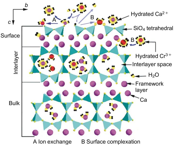 Plausible mechanism of sorption of heavy metals. Reproduced from Ref. 262 with permission from Elsevier.