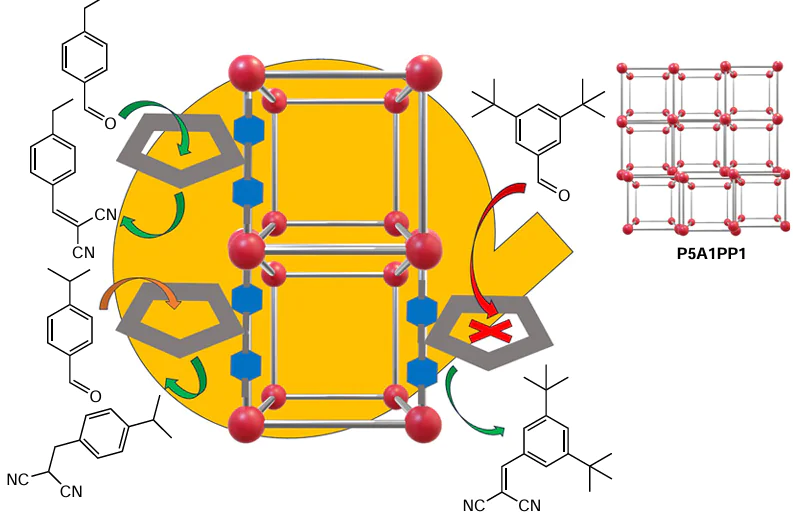 3D network structure of P5A1PP1 and illustration of its size selective catalysis