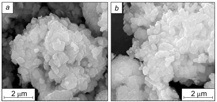SEM images of the product of CO2 capture of carbide slag (a, b). Reproduced from Ref. 211 with permission from Elsevier.