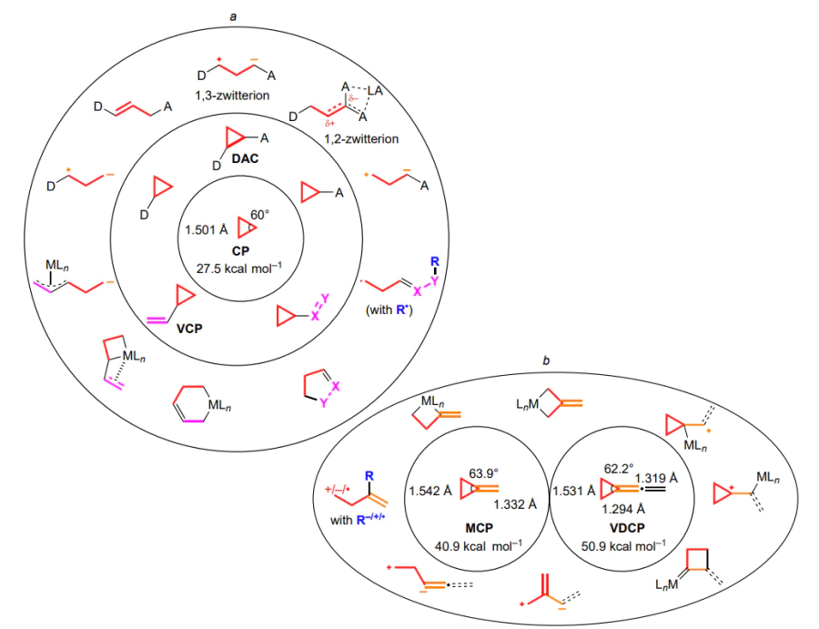 Structural features of cyclopropane substrates and various aspects of their reactivity considered in this review. For the molecules in the inner circles, the angles, bond lengths and strain energies of the three-membered ring are indicated; the inner ring (a) includes the main classes of functionalized cyclopropanes; the outer zones (a, b) contain the structures of possible types of intermediates of the corresponding substrates. The following designations are used: CP is cyclopropane, M is metal, L is ligand.