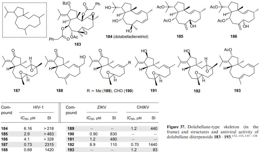 Dolabellane-type skeleton (in the frame) and structures and antiviral activity of dolabellane diterpenoids 183-193.132, 133, 135-138