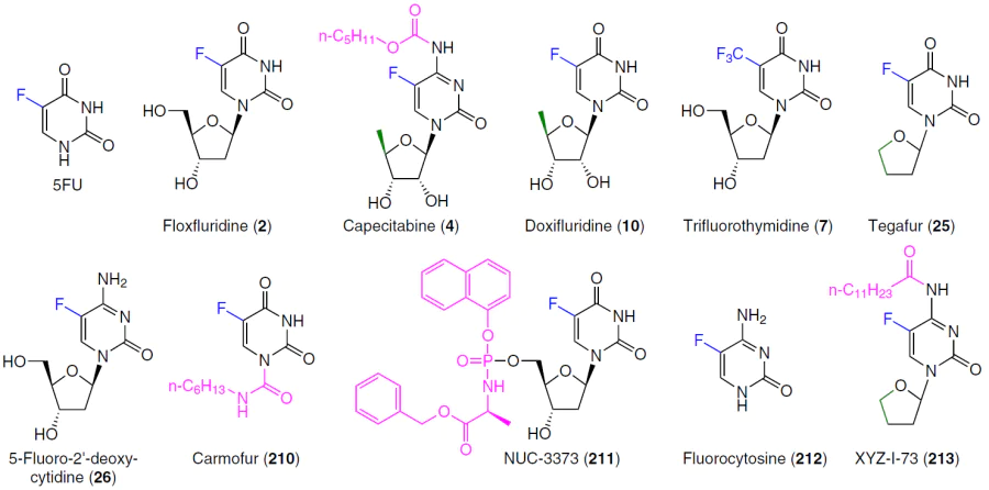 Structures of 5-fluoropyrimidines 2, 4, 7, 10, 25, 26, 210 – 213. Modifications of the pyrimidine base are marked in blue, modifications of the carbohydrate moiety are marked in green, fragments of depot forms are marked in pink.