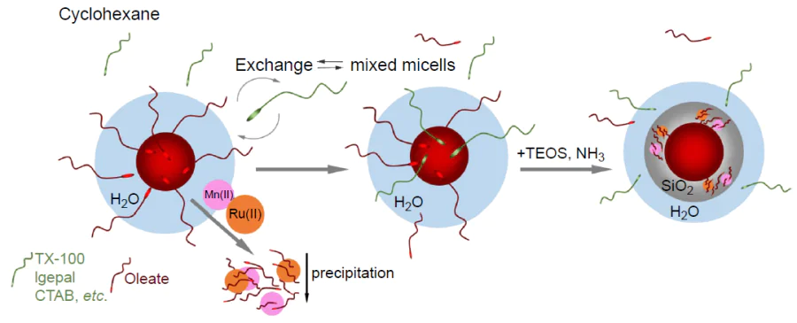 Schematic presentation of the interactions facilitating removal of the surface oleates from oleate-capped iron oxide NPs. TX-100 is Triton X-100, CTAB is cetyltrimethylammonium bromide.