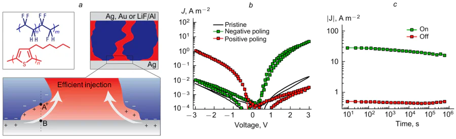 Scheme of formation of a phase-separated mixture of P(VDF-TrFE) copolymer and organic semiconductor, poly-(3-hexylthiophene) (a), current-voltage characteristics of the diode formed by this mixture (b) and time stability of the switched current (c).257 Published with permission from Springer Nature.