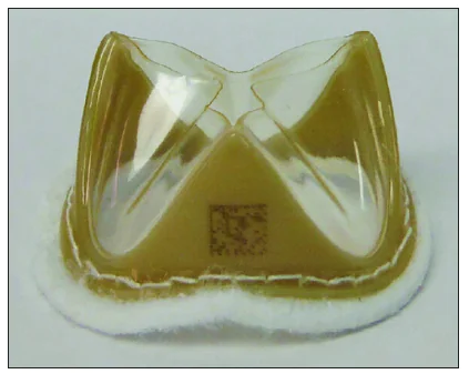 Photograph of a heart valve made of LifePolymer™.222 Wiley Periodicals LLC, 2021.