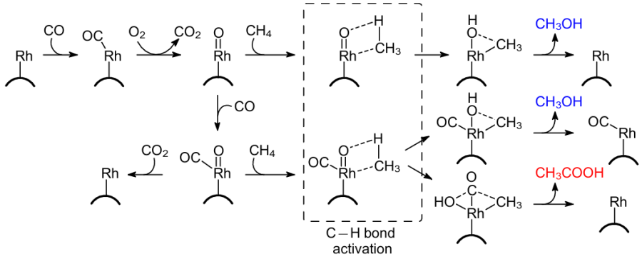 Hypothetical mechanism of methane oxidation with oxygen in the presence of CO on the rhodium single-atom site to form methanol or acetic acid. The blue and red colour marks different reaction products.220