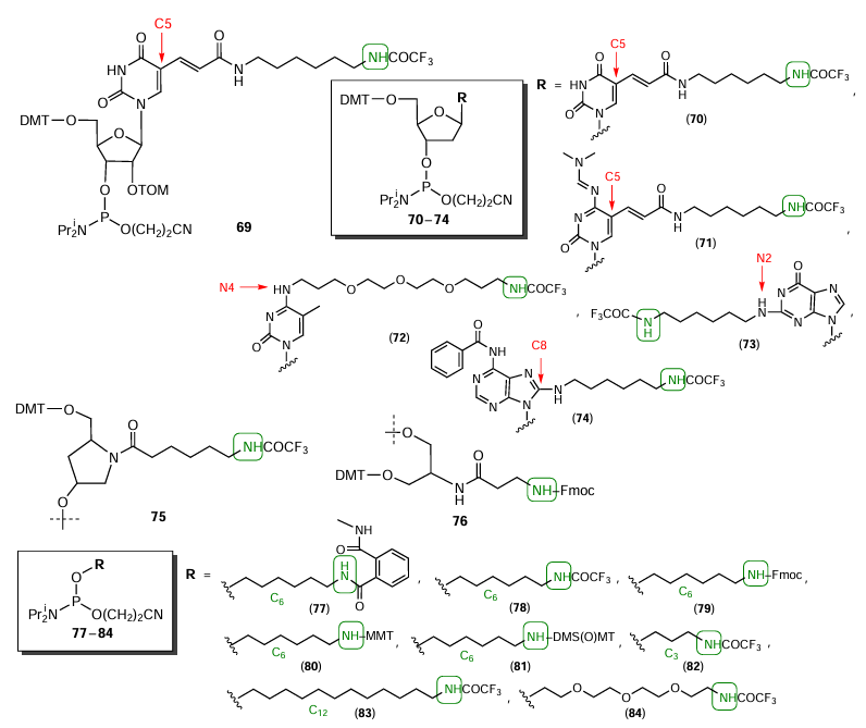 Structures of commercially available amino-containing phosphoramidites or solid supports, nucleotide (69 – 74) and non-nucleotide (75 – 84) nature