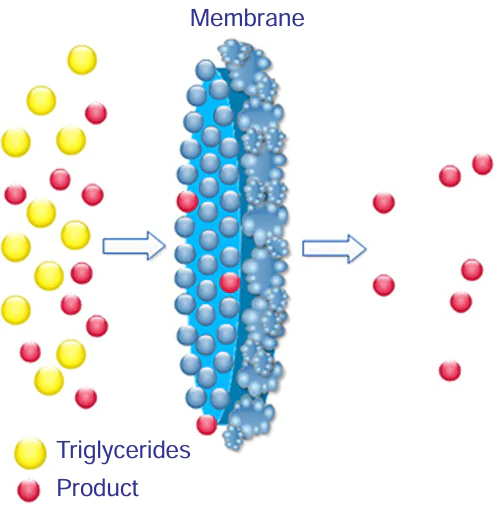 Principle of membrane separation technique
