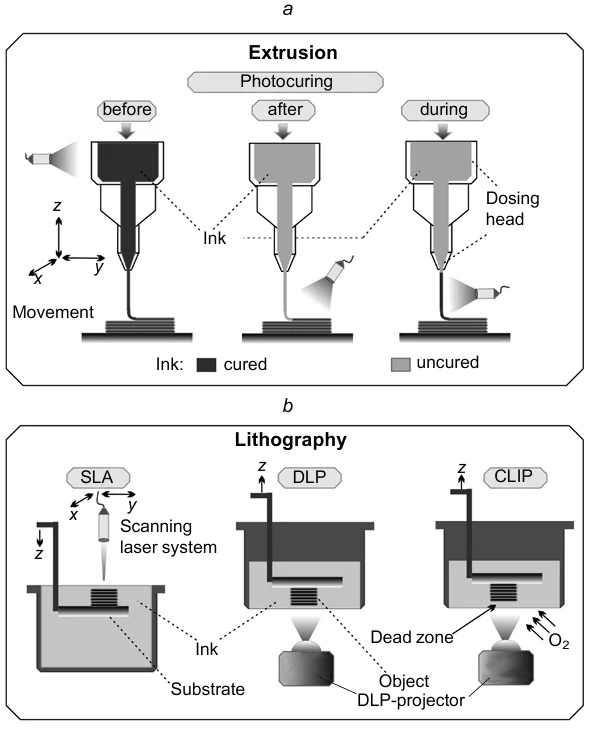 Schematic representation of extrusion-based 3D printing technologies involving inkcuring before, after and during extrusion (a), and lithography (b). SLA is stereolithography, DLP is digital light projection, CLIP is continuous liquid interface production. The figure is created by the authors