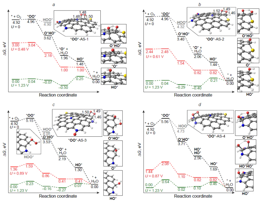 Free energy profiles for intermediates of the ORR catalytic cycle at AS-1 (a), AS-2 (b), AS-3 (c), and AS-4 (d) active sites of N,S,O-GQD structures at various potentials U in acidic medium.