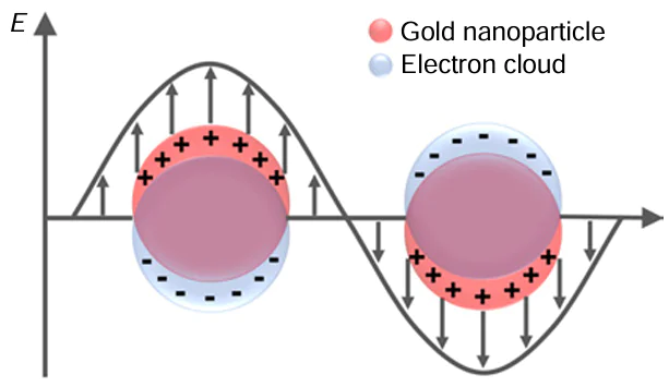 Schematic illustration of LSPR on the surface of gold nanoparticles