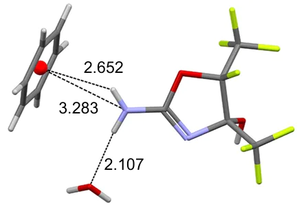 NH...π and NH...O interactions in benzene solvate hemihydrate of amine 8 (NAJPIZ, 100 K). The figure was created by the authors using data of Ref. 34.