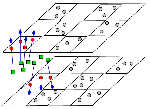 Schematic representation of the ‘chess box’ clustering for DSA molecules spin-labeled at either the 5- (red circles) or 16- (green squares) positions of the alkyl tail carbon atoms (shown with blue arrows). For compactness, the labels are depicted as belonging to the same molecule. The diamonds at the ends of the arrows correspond to carboxyl groups. The gray circles indicate that this DSA clustering pattern is reproduced in neighboring cells.